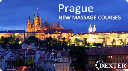 Dexter Academy - massage school courses prague