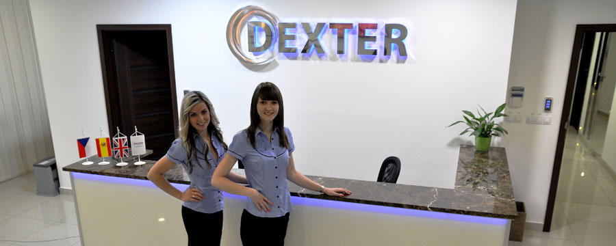 Dexter massage school